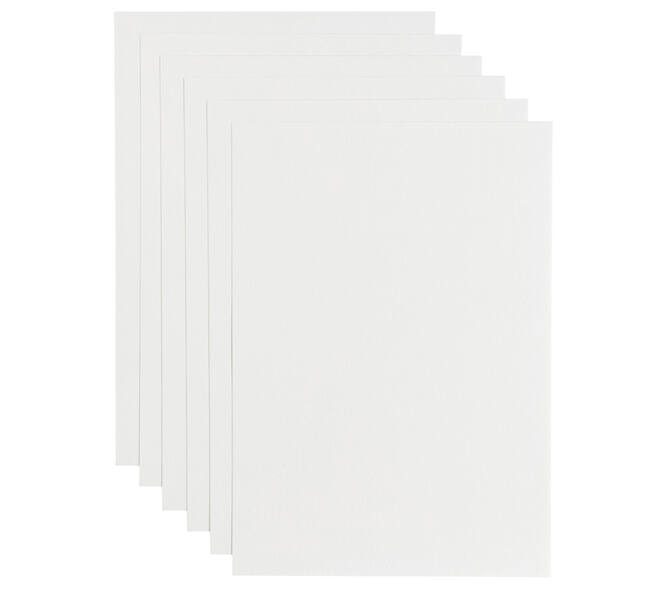 Kopieerpapier Papicolor A4 100gr 12 vel wit