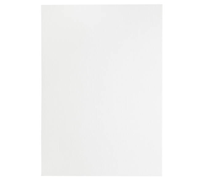 Kopieerpapier Papicolor A4 100gr 12 vel wit