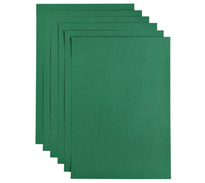 Kopieerpapier Papicolor A4 100gr 12 vel dennengroen