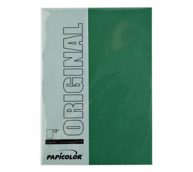 Kopieerpapier Papicolor A4 100gr 12 vel dennengroen