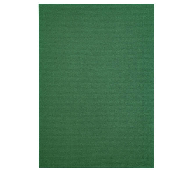 Kopieerpapier Papicolor A4 100gr 12 vel dennengroen