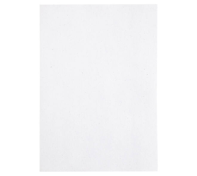 Kopieerpapier Papicolor A4 90gr 12 vel kraft wit