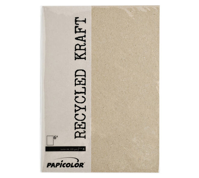 Kopieerpapier Papicolor A4 100gr 12 vel kraft grijs