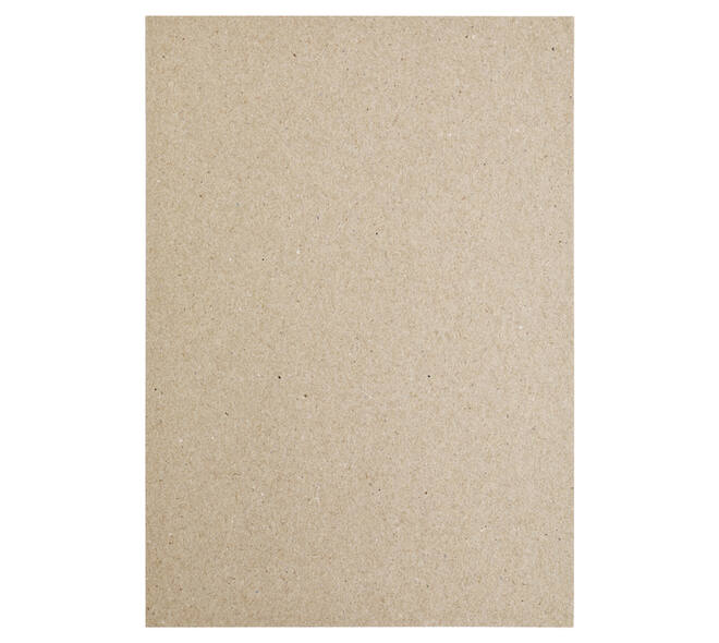 Kopieerpapier Papicolor A4 100gr 12 vel kraft grijs