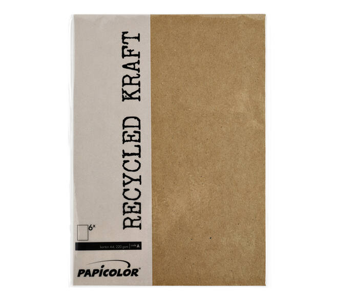 Kopieerpapier Papicolor A4 100gr 12 vel kraft bruin