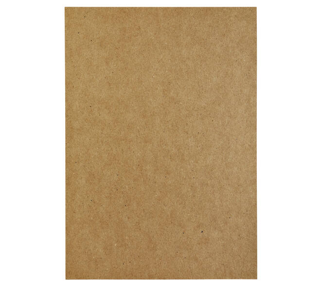 Kopieerpapier Papicolor A4 100gr 12 vel kraft bruin