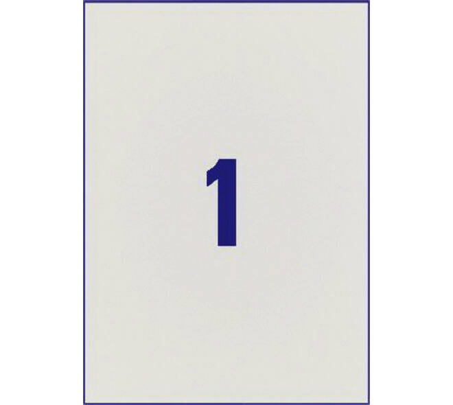 Etiket Avery L6013-20 210x297mm zilver 20 stuks