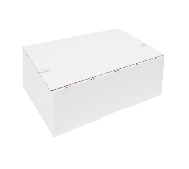Postpakketbox iezzy 2 200x140x80mm wit