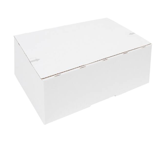 Postpakketbox iezzy 4 305x215x110mm wit