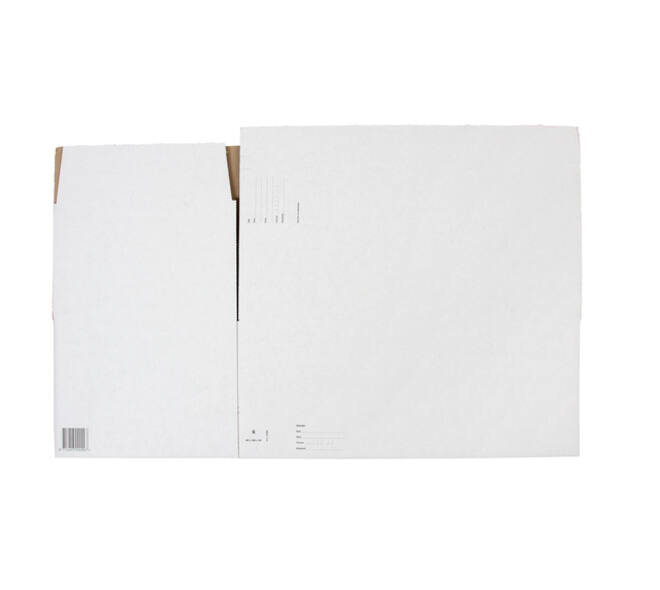 Postpakketbox IEZZY 6 485x260x185mm wit
