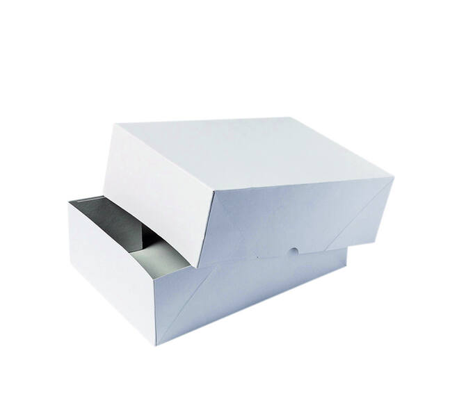 Paraatdoos iezzy a4 305x215x50mm voor 500vel wit