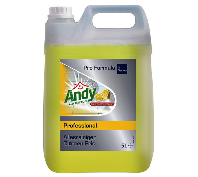 Allesreiniger Andy citroen fris 5 liter