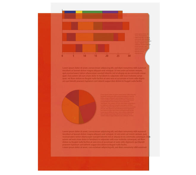 L-map Kangaro A4 PP oranje (10)