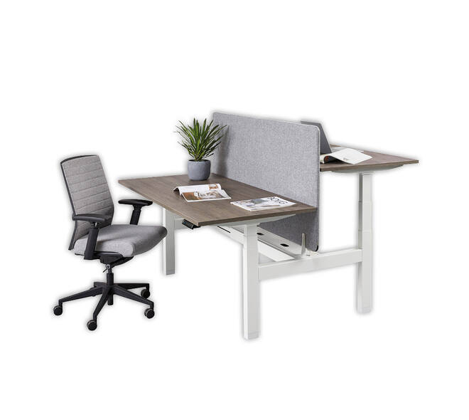 Bureau zit-sta Duo elektrisch 160x80cm 'Premium'