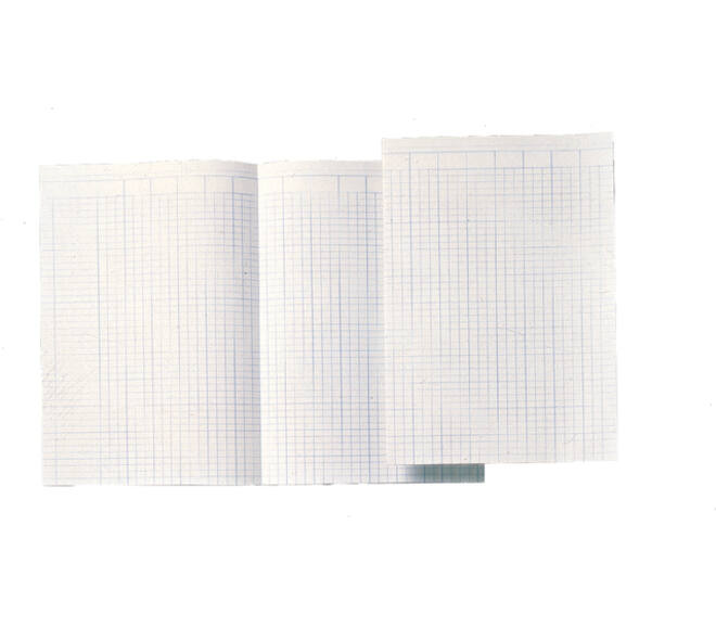 Accountantspapier Djois Atlanta A4 14 kolommen 100vel