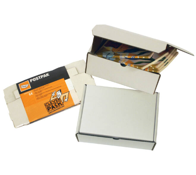 Postpakket CleverPack golfkarton 220x160x90mm wit pak à 5 stuks