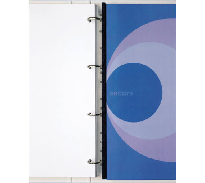 Filestrip GBC A4 10-pins 100 stuks