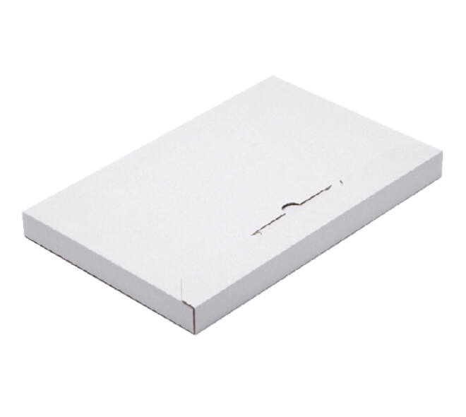 Brievenbusbox CleverPack A4 350x230x26mm karton wit pak à 5 stuks