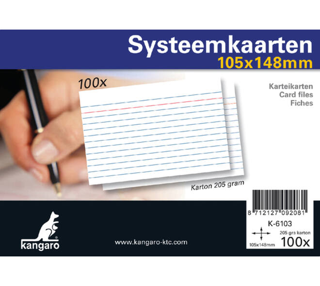 Systeemkaarten A6 105x148mm 100 stuks