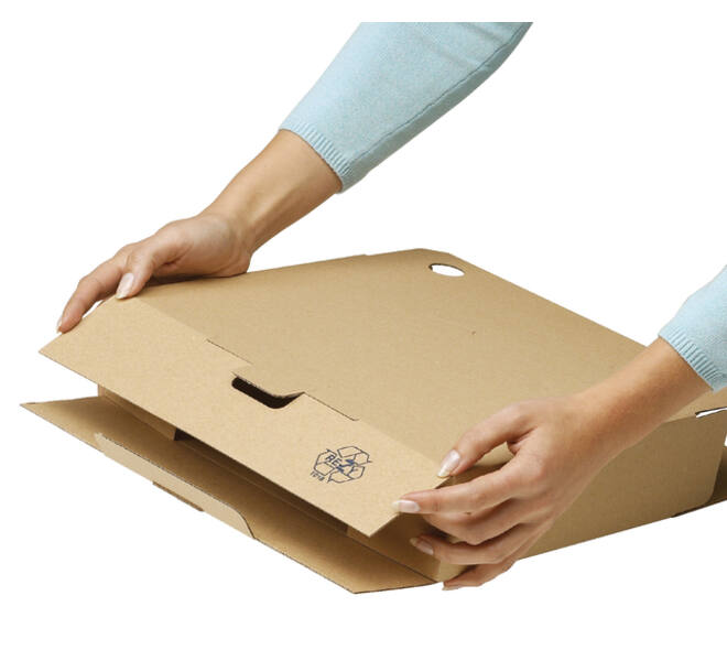 Archiefdoos Loeff Filing Box 3003 folio 345x250x80mm karton