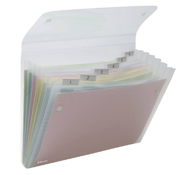 Sorteermap Rexel Ice 6-vaks transparant