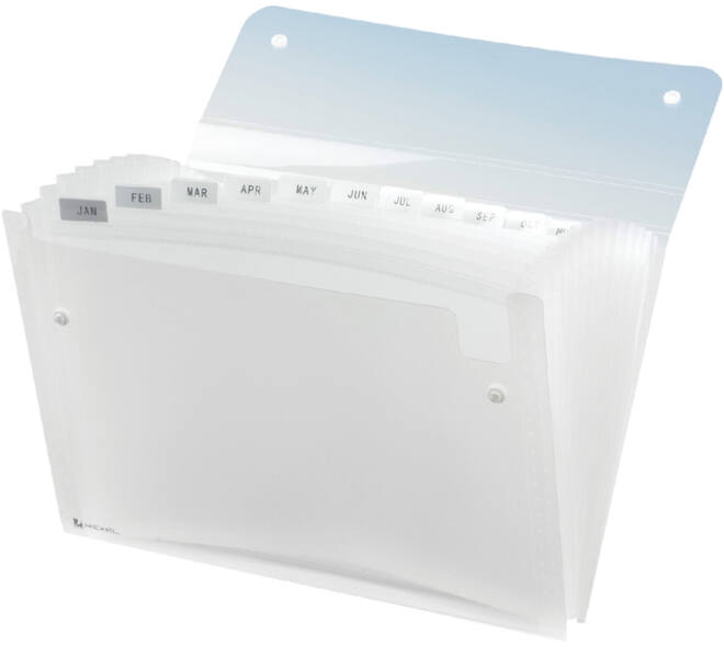 Sorteermap Rexel Ice 13-vaks transparant