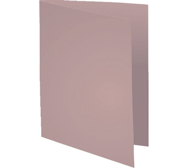 Vouwmap Exacompta Forever A4 170gr grijs 100 stuks