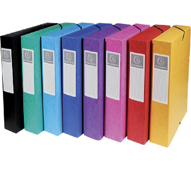 Elastobox Exacompta A4 60mm 600gr assorti