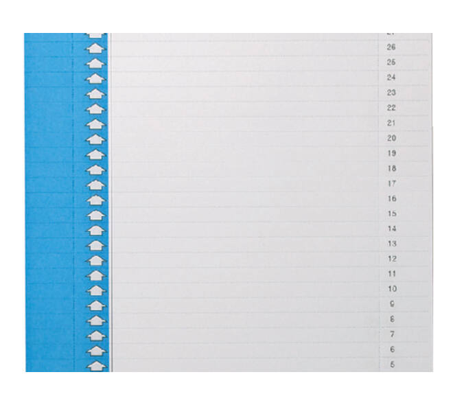Ruiterstrook Elba Nr 0 297x6mm verticaal blauw 10 vel