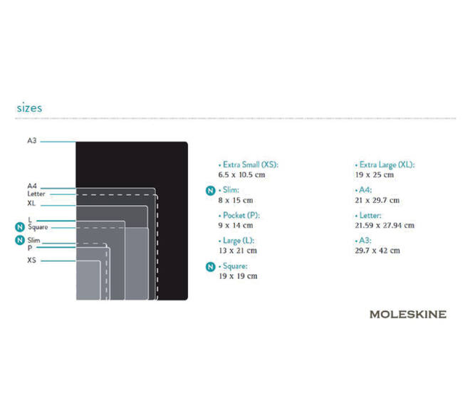 Notitieboek Moleskine large 130x210mm lijn hard cover zwart