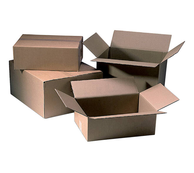 Amerikaanse vouwdoos CleverPack 217x304x150mm B-golf bruin 20 stuks