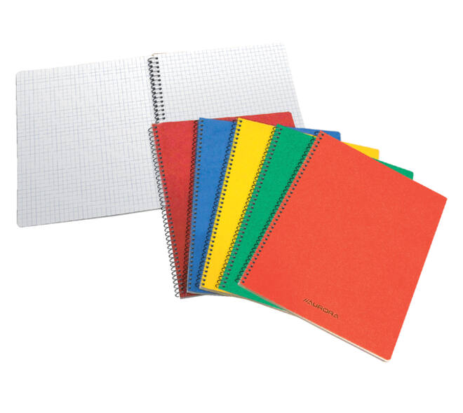 Schrift Aurora 80x135mm ruit 5x5mm 200 pagina's 60gr assorti
