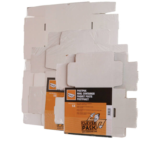 Postpakket CleverPack golfkarton 220x160x90mm wit pak à 5 stuks