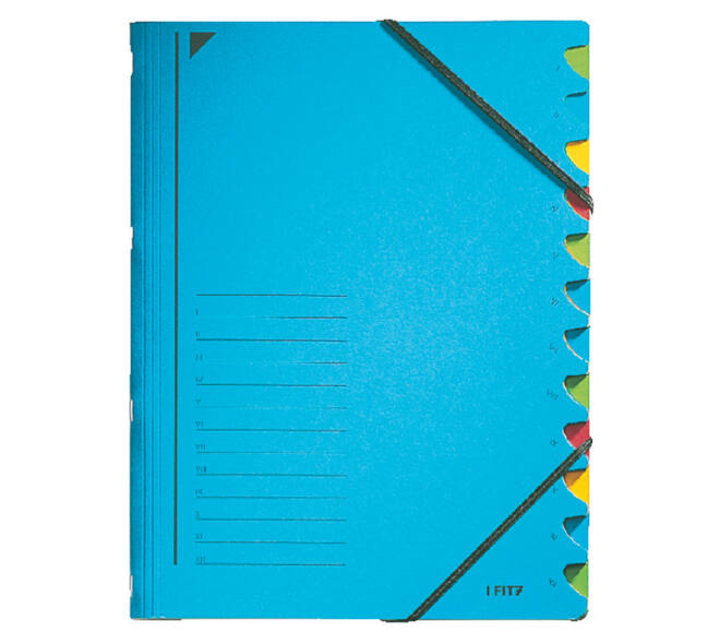 Sorteermap Leitz 12 tabbladen karton blauw