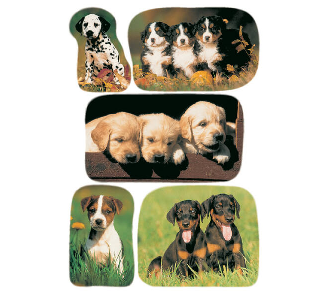 Etiket HERMA 3528 honden