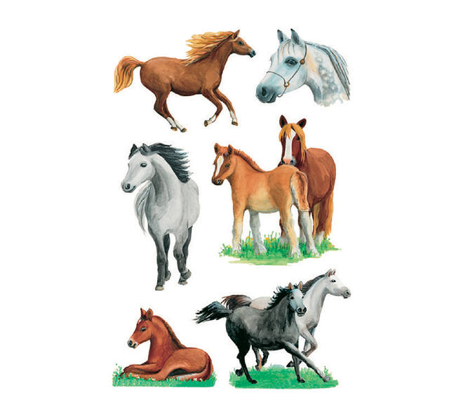 Etiket HERMA 3553 paarden rassen