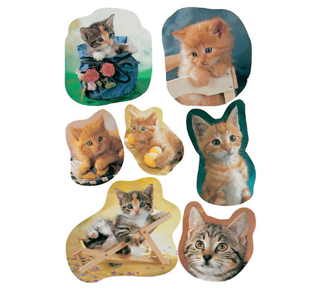 Etiket HERMA 5747 katten