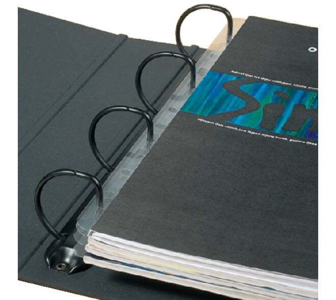 Opbergstrip Djois filestrip A4 295mm 2/4rings transparant 50 stuks