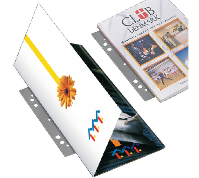 Opbergstrip Djois filestrip A4 295mm 2/4rings transparant 100 stuks