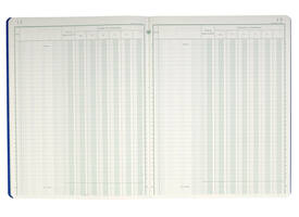 Register Piqure dagontvangsten 320x250mm 80vel assorti