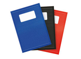 Schrift Qbasic A4 lijn 80blz 70gr assorti