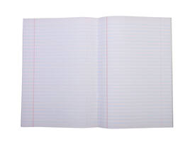 Schrift Qbasic A4 lijn 80blz 70gr assorti