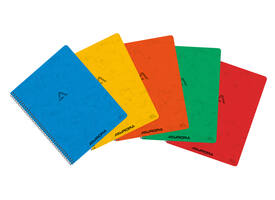 Schrift Aurora 210x165mm ruit 5x5mm 120 pagina's 80gr assorti