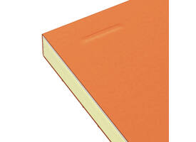 Cursusblok Oxford Orange Notepad A4+ lijn 4-gaats 160 pagina's 80gr oranje