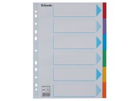 Tabbladen Esselte Standaard A4 6-delig karton 11-rings met voorblad assorti