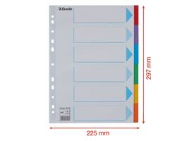 Tabbladen Esselte Standaard A4 6-delig karton 11-rings met voorblad assorti
