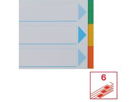 Tabbladen Esselte Standaard A4 6-delig karton 11-rings met voorblad assorti