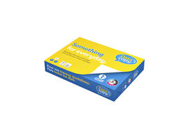 Kopieerpapier Datacopy A4 80gr wit 500 vel