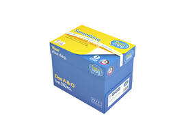 Kopieerpapier Datacopy A4 80gr wit 500 vel