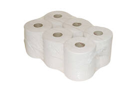 Poetspapier Euro Products M1-V1 2-laags 1000 vel wit 100038